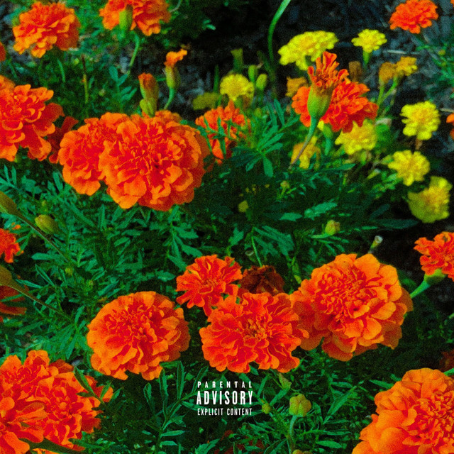Good Luck cover art
