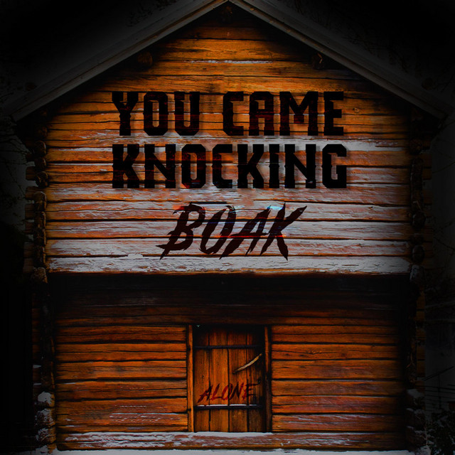 You Came Knocking cover
