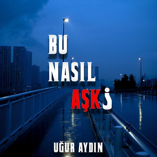 Bu Nasıl Aşk? cover art