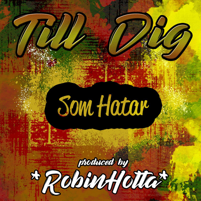 Cover of Till Dig Som Hatar by Robinholta