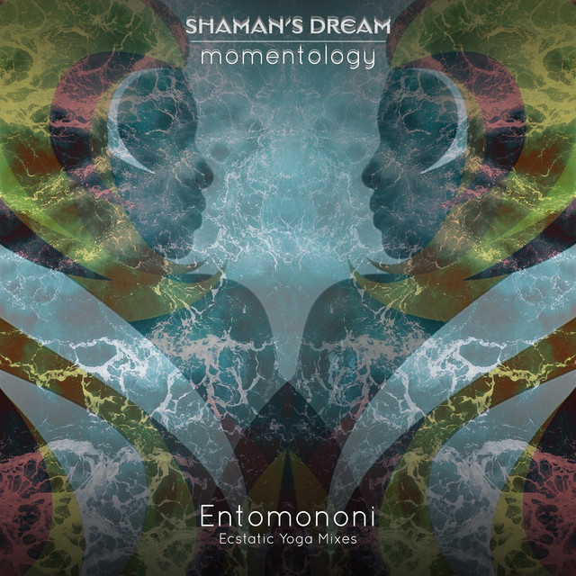 Shaman's Dream Momentology Jason Hann