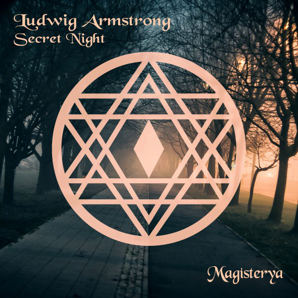 Secret Night cover