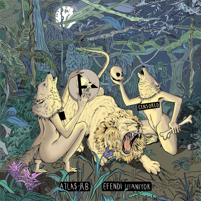 Efendi Uyanıyor cover art