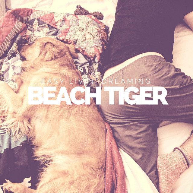 Numb - Beach Tiger