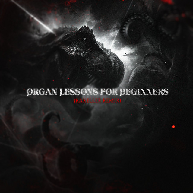Organ Lessons for Beginners (Raxeller Remix)