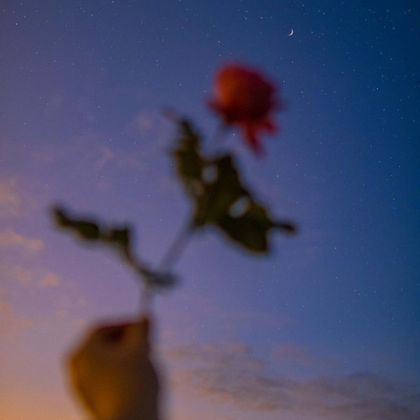 FLOWERS4YOU cover art