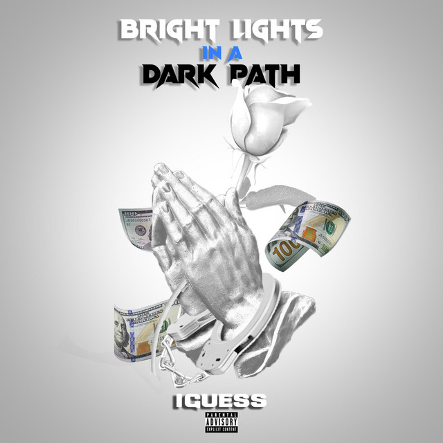 Bright Lights in a Dark Path cover art