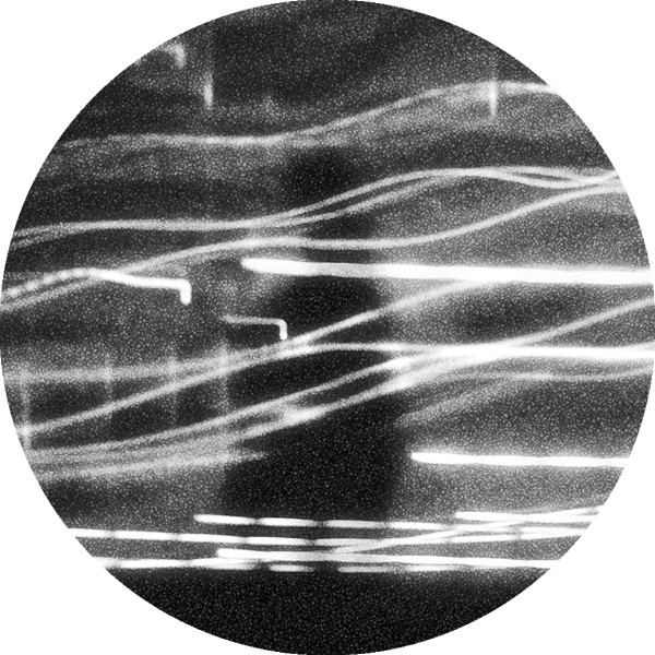 Обкладинка Zelmershead — Invisibles