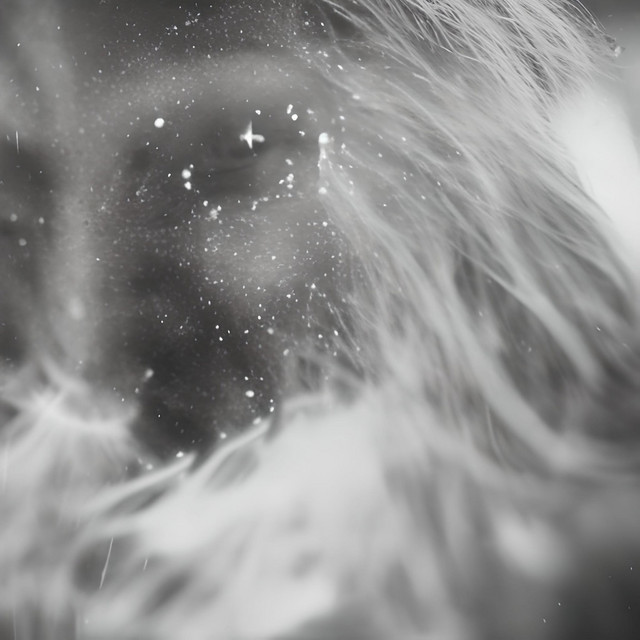 Обкладинка: Breathe — Project: Elysian