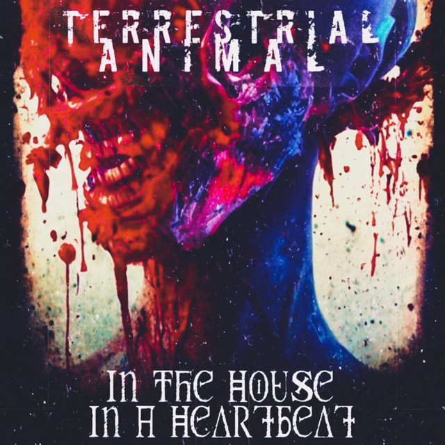 In the House - In a Heartbeat