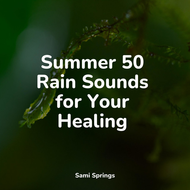 Summer 50 Rain Sounds for Your Healing - Album by Lluvia PQ | Spotify
