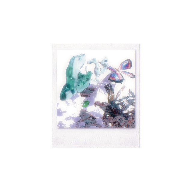 Seek&Find cover art