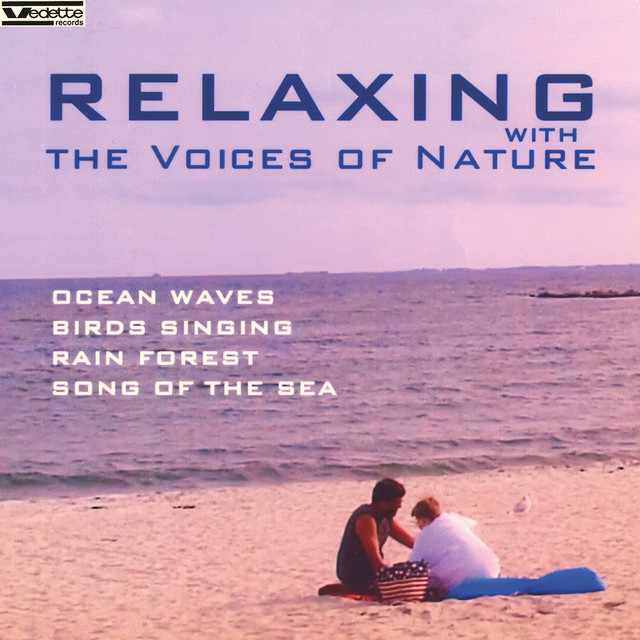 Big Surf - song and lyrics by Peter Study Nature Sound | Spotify