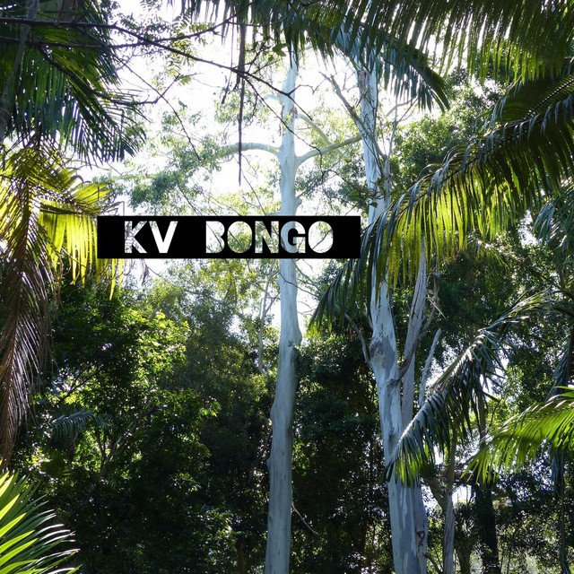 Bongo cover art