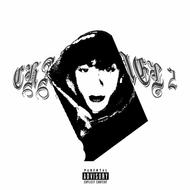 Channel 2 cover art