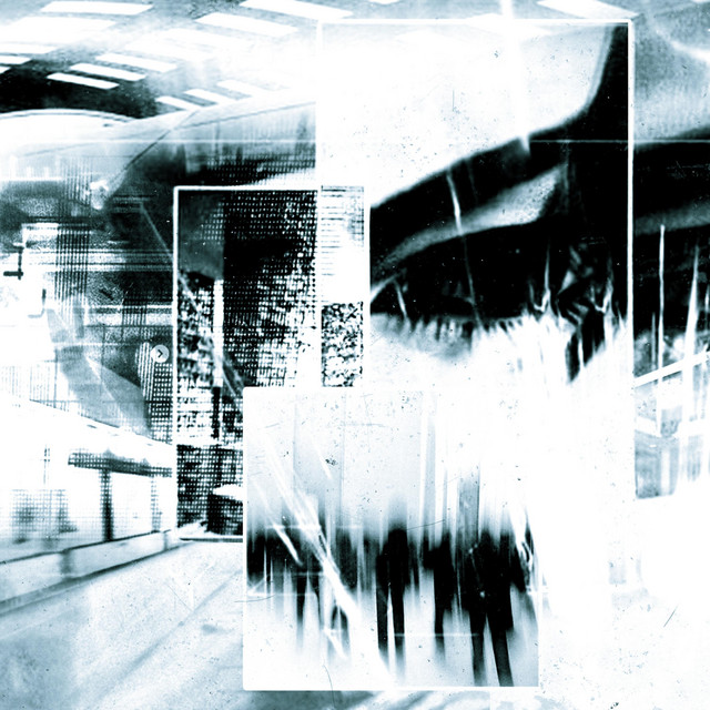 WDYM cover art