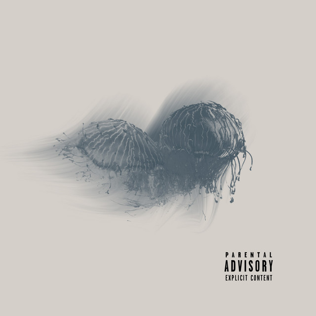 KOA cover art