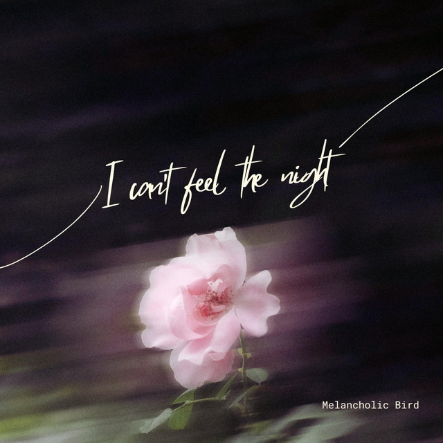 Обкладинка: I Can’t Feel the Night — Melancholic Bird