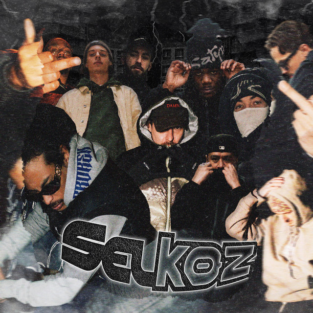 SELKOZ cover art