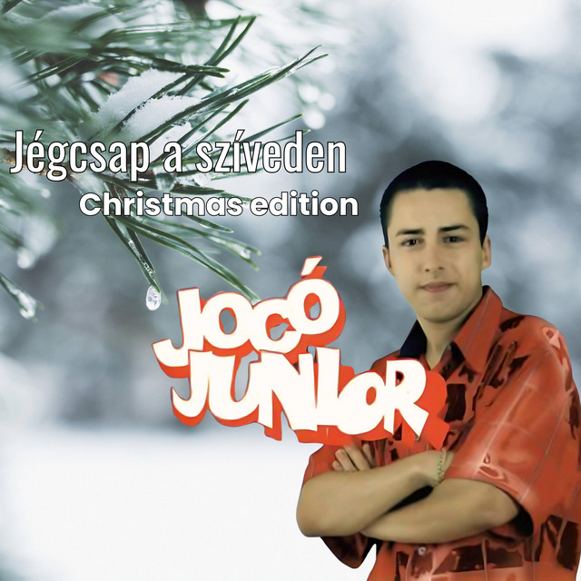 CABC ※プロフを必読ください Szabo】 【HOLIDAY Joe