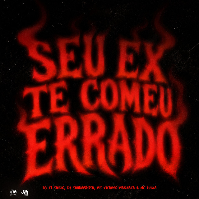 Seu Ex Te Comeu Errado