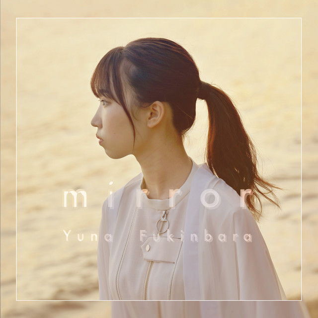 mirror ("AMAIM Warrior at the Borderline" Imaging Album) artwork