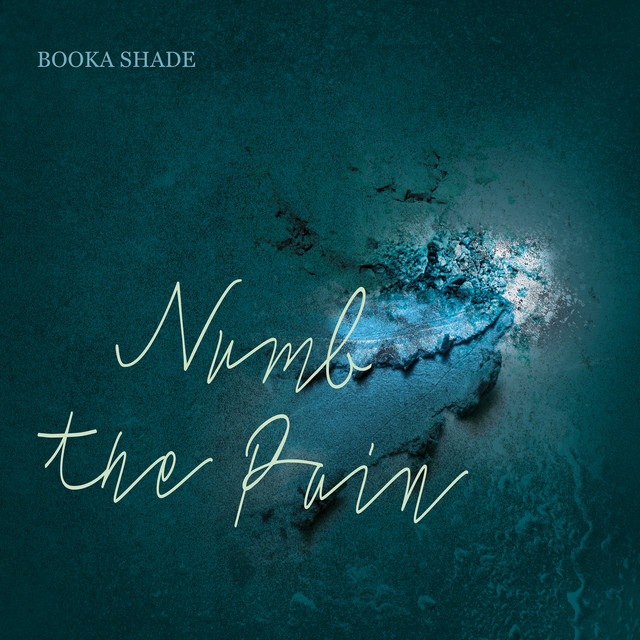 Numb the Pain cover art