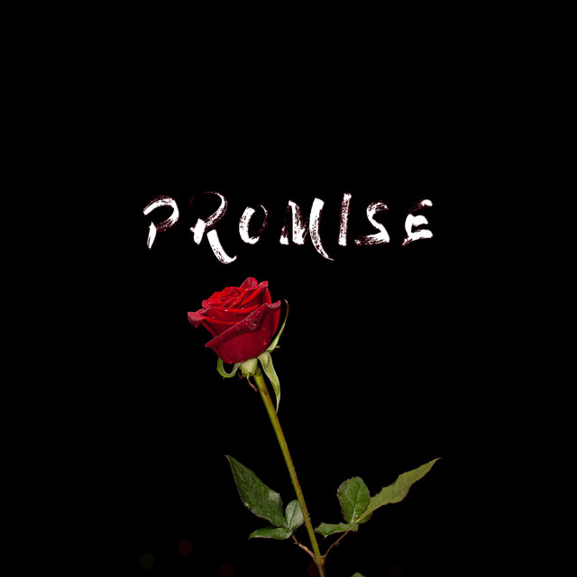 Promise cover art