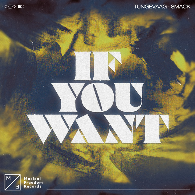 If You Want - Extended Mix album art
