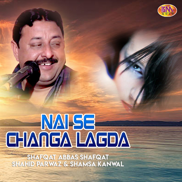 Nai Se Changa Lagda cover art