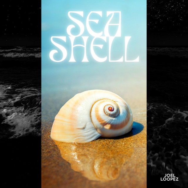 Seashell cover art