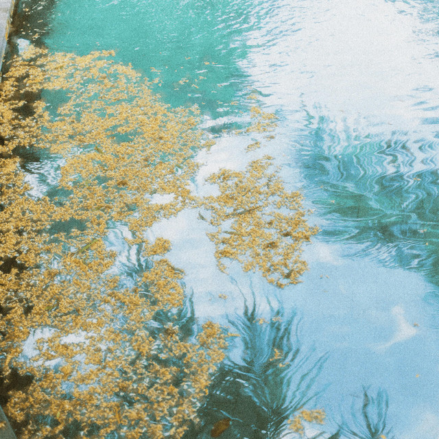 Reflections cover art