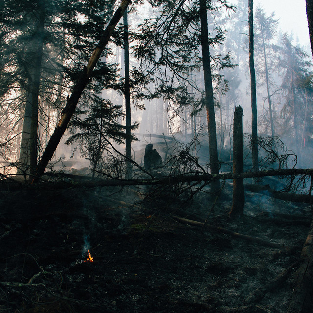 Island Fire cover art