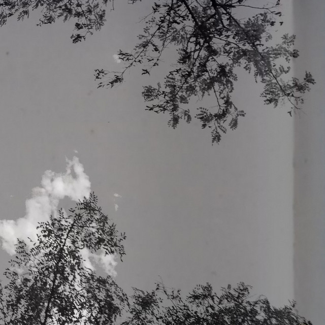 gray cover art