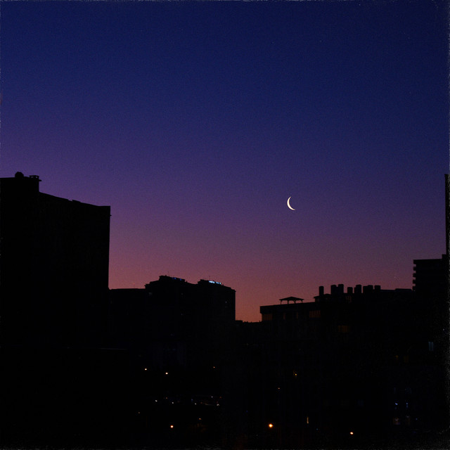 quiet nights