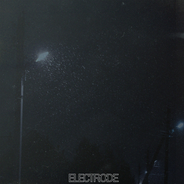 Electrode album image