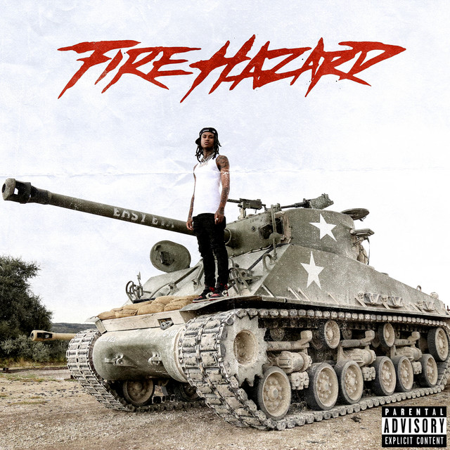 FIRE HAZARD cover art