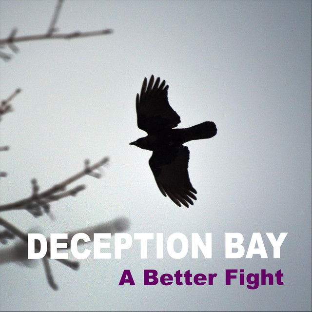A Better Fight cover