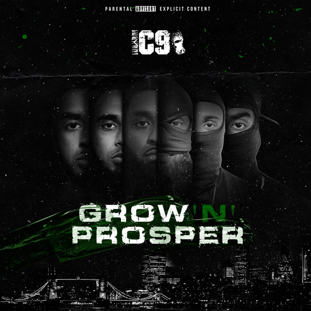 Grow N Prosper cover art