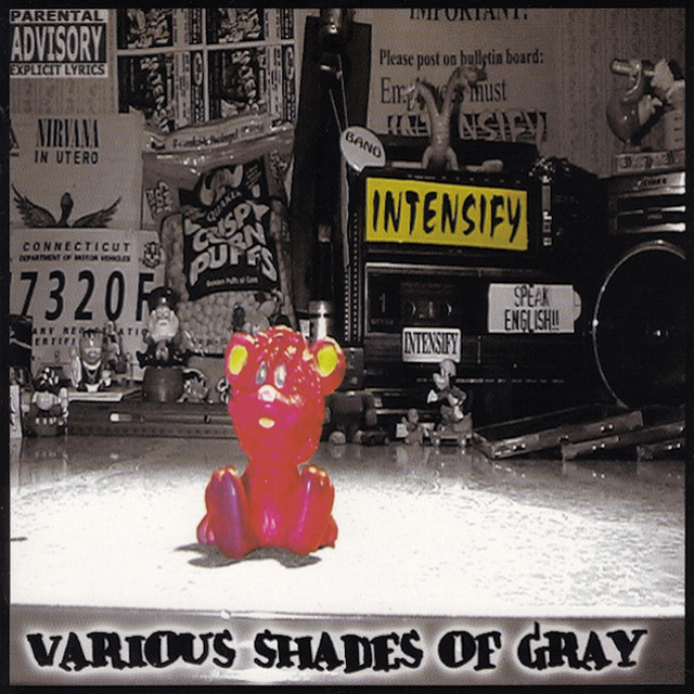 Various Shades Of Gray cover art