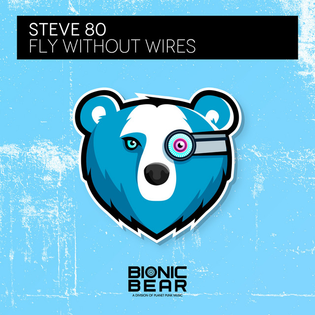 Fly Without Wires cover