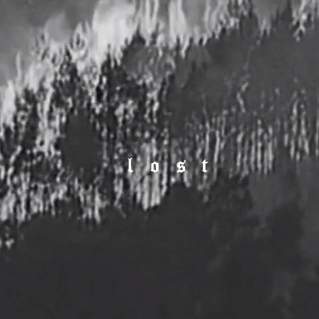 lost cover art