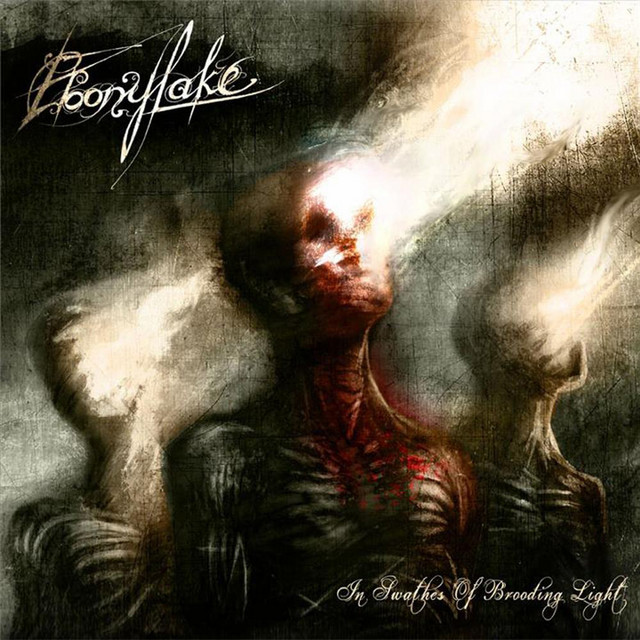 In Swathes of Brooding Light cover art