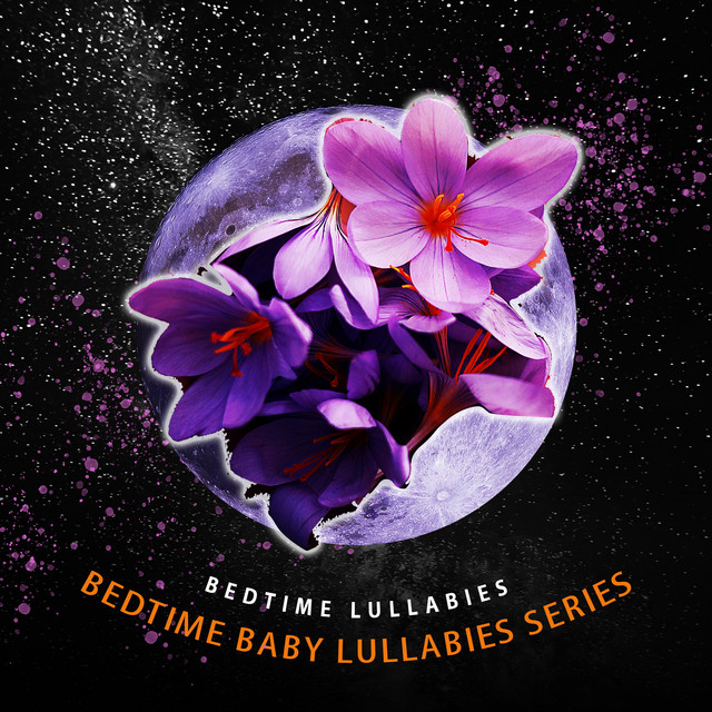 Bedtime Baby Lullabies Series - Album by Bedtime Lullabies | Spotify