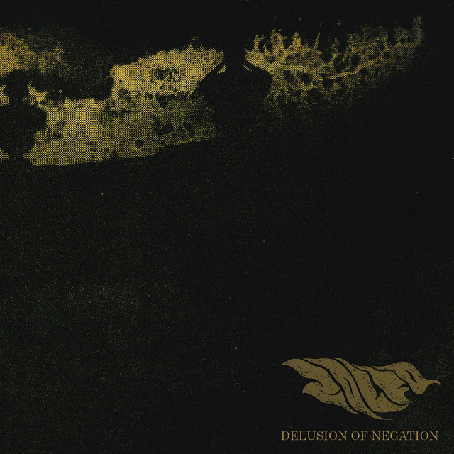 Delusion of Negation cover art