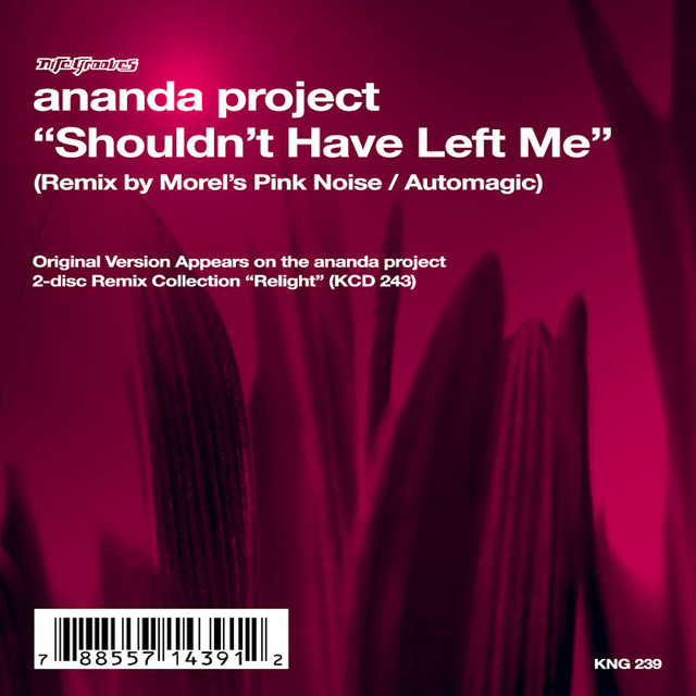 Shouldn't Have Left Me - EP by Ananda Project | Spotify