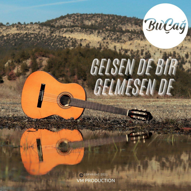 Gelsen de Bir Gelmesen de cover art