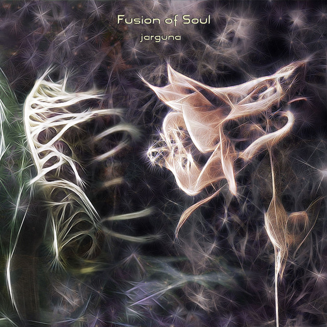 Fusion of Soul cover