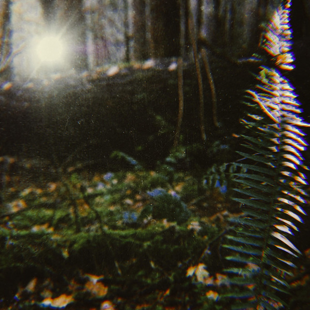 Milieu III (single)