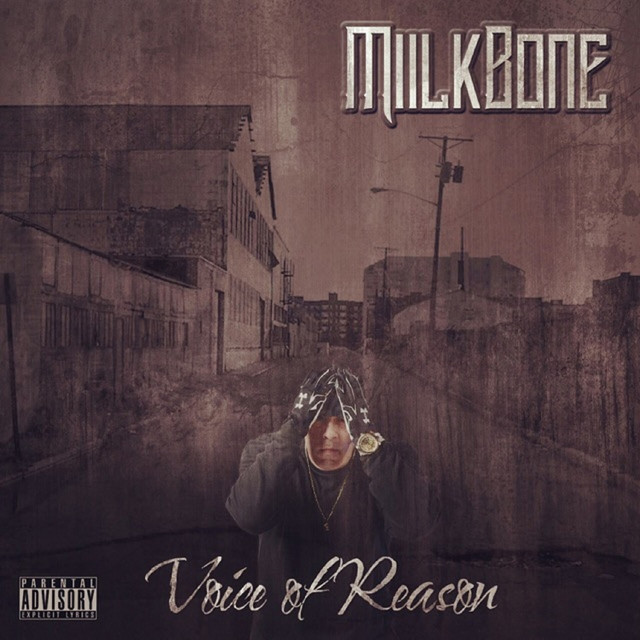 Voice of Reason cover art